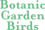 bg-birds-logo